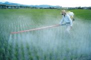 Agriculteur répendant des produits chimiques sur son champ