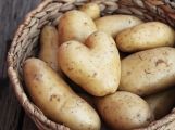 Pomme de terre en forme de coeur dans un panier de pommes de terres normales