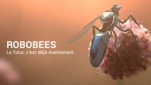 Un robot-abeille posé sur une fleur + slogan 