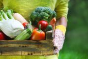Cagette de légumes frais tenue par une femme