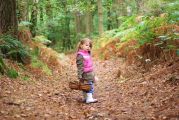 Une petite fille faisant la cueillette en plein bois
