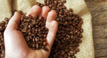 Choisir son café : de l’esclavagisme du XVIIe au commerce équitable moderne