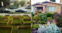 Jardin en permaculture avant et après