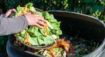 Une personne jette des restes de légumes à la poubelle