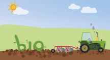 Illustration d'un tracteur bio dans un champ au soleil