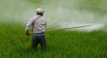 Un agriculteur arrose son champs de pesticides