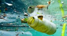 Pollution marine si vous mangez du poisson vous ingerez du plastique