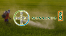 Mariage infernal Bayer veut racheter Monsanto