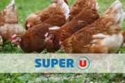 des poules d'élevage en plein air sous l'enseigne de la marque super U