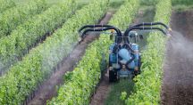 épandage de pesticides dans les vignes