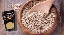 un agriculteur présente son quinoa français produit à Anjou