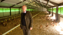 Bernard Devoucoux posant devant ses poulets d'élevage