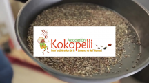 Sot de graines bio dans les locaux de Kokopelli