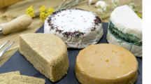 Le fromage végétal, une délicieuse alternative qui ne séduit pas que les véganes