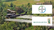 Après leur fusion, Bayer annonce la suppression de la marque Monsanto