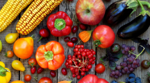 Salon SIAL : l'avenir de l'alimentation sera plus végétal