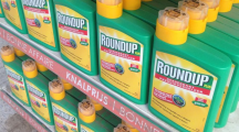 roundup-glyphosate