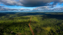 12 millions d'hectares de forêts tropicales détruites en 2018