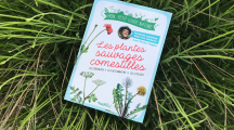 Les plantes sauvages comestibles accessibles aux enfants grâce à François Couplan et Florian Kaplar