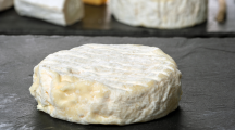 Bactérie E. Coli : retrait-rappel de fromages au lait cru