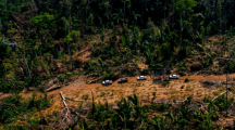 Colombie : le sommet sur l'Amazonie organisé ce vendredi… sans Bolsonaro !