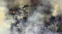 incendie Amazonie Brésil