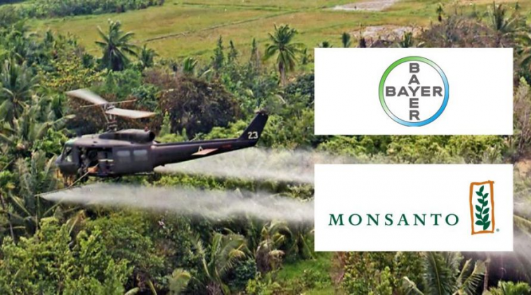 Après Leur Fusion, Bayer Annonce La Suppression De La Marque Monsanto ...