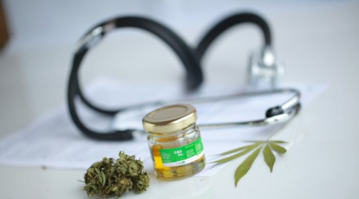 Sclérose en plaques : le cannabis médical pour soulager les symptômes | Bio à la une