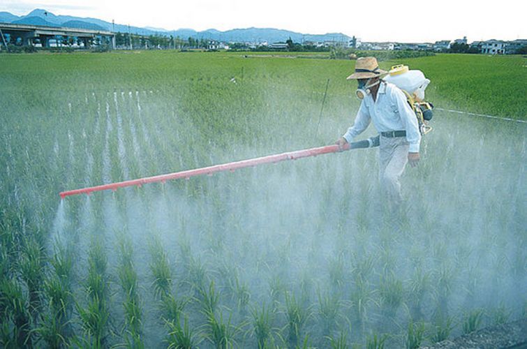 Agriculteur répendant des produits chimiques sur son champ