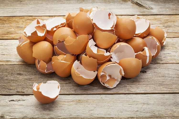 tas de coquilles d’œufs déposé sur une planche en bois