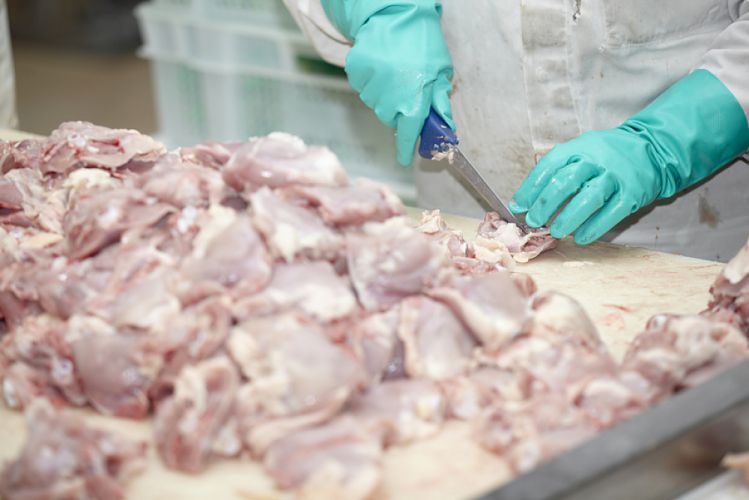 Personnel d'usine triant des morceaux de viande de poulet
