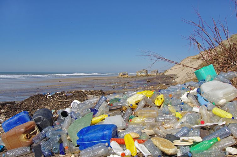 Déchets plastiques échoués sur une plage