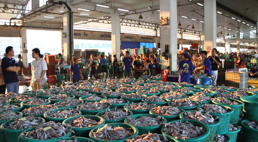Etalage de pêche dans un marché