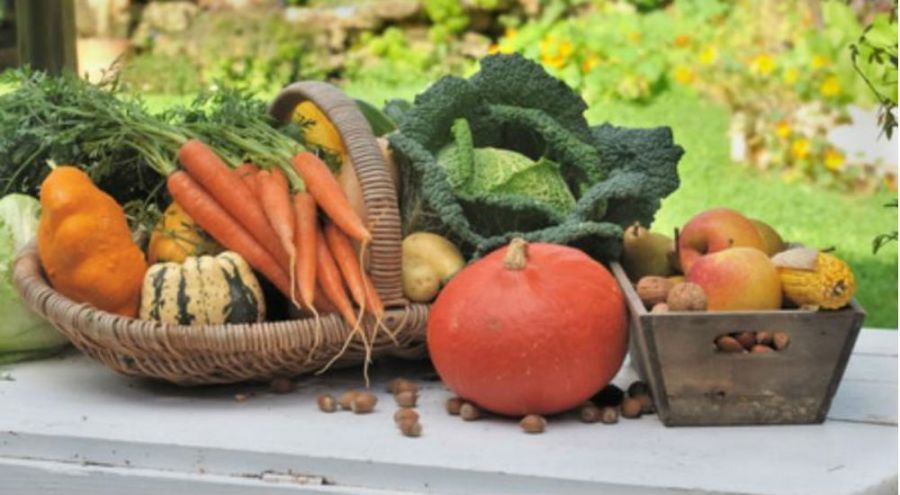 panier de légumes d'hiver disposés sur un table