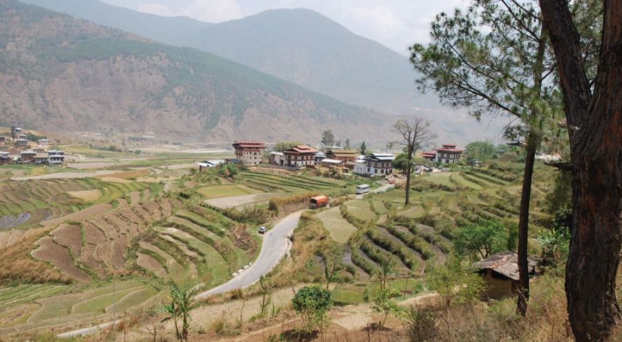 Cultures de riz et cultures maraîchaires dans la vallée de Punakha. 