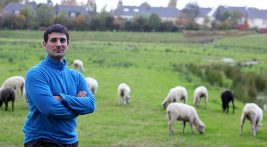 Matthieu Pirès et son élevage de moutons avranchins