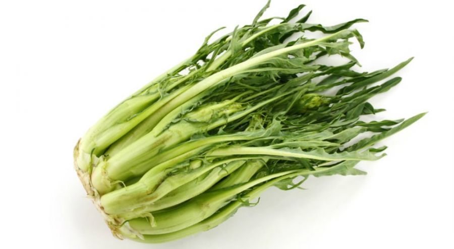 Légumes oubliés la puntarella, la chicorée italienne aux nombreuses vertus Image d'une chicorée puntarella
