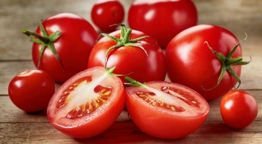 Tomates étalées sur table