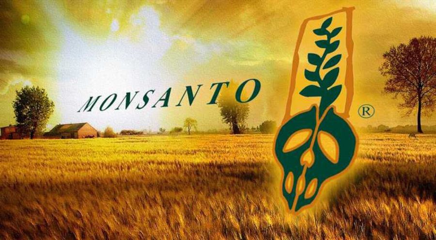 Logo de Monsanto dans un champ en couché de soleil