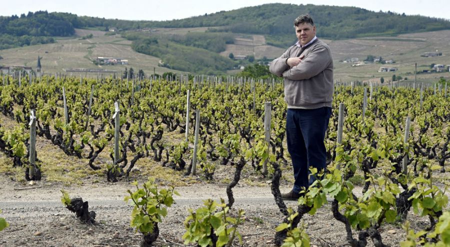 Le vigneron bio poursuivi pour avoir refusé de traiter ses vignes a été relaxé Thibault Liger-Belair au milieu de ses vignes