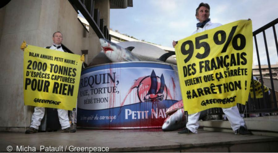 Pêche destructrice: Greenpeace s'attaque à Petit Navire des militants Greenpeace milite sur l'usine Petit Navire