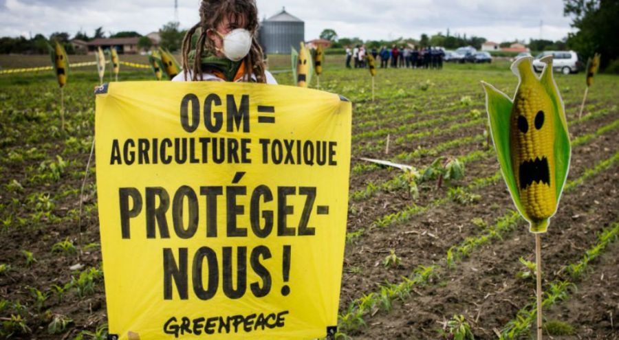une militante de Greenpeace tenant un panneau 