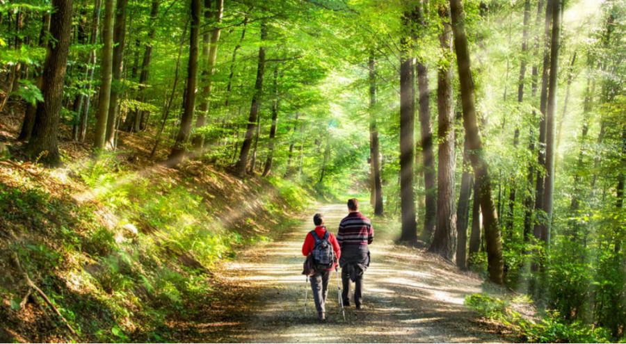 un couple qui marche en forêt