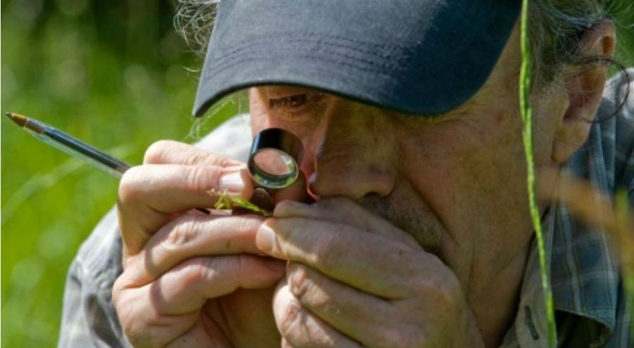 Les botanistes, les gardiens de la biodiversité un botaniste étudie une plante
