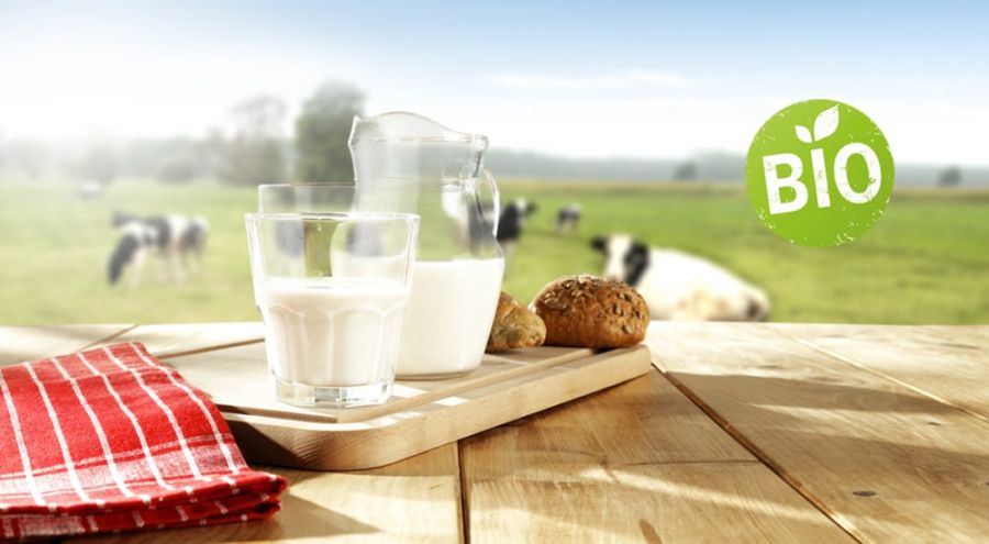 un verre de lait posé sur une table en campagne
