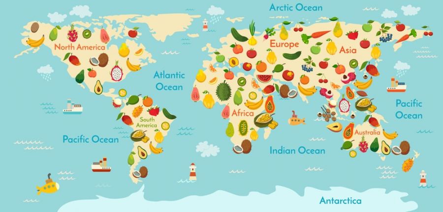 carte du monde avec les différents fruits et légumes