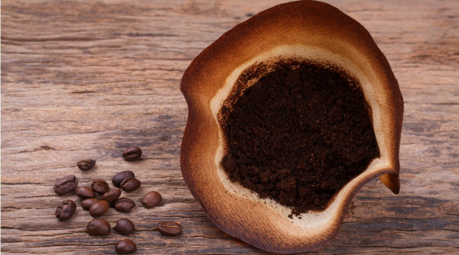 Le marc de café, l'or brun bénéfique au potager | Bio à la une