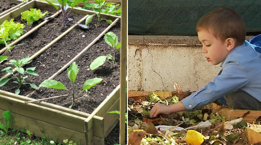 À Montpellier, ces élèves d'école maternelle s'initient à la permaculture