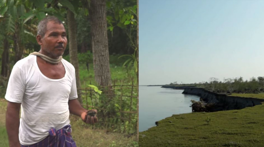 En Inde, cet homme plante des arbres depuis ses 16 ans pour sauver son île