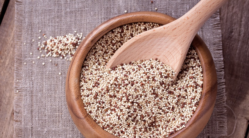 Le Quinoa, une graine qui fait des envieux